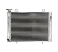 Radiatore motore 4 RIDE RAD-225 per Polaris Ranger 0.4 2011-2011