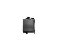 RADIATORE MOTORE CHATENET CH 26 CON MOTORE YANMAR GM0126115