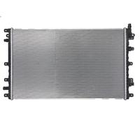 Radiatore motore DENSO DRM20113 per OPEL AMPERA (R12) 1.4 2011-2015