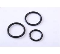 Radiatore motore NISSENS 60314A AUDI A4 B7 (8EC) 3 2004-2008