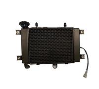 Radiatore motore Per Loncin Voge
