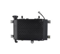 Radiatore motore Per Loncin Voge