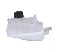 Radiatore Motore Per Renault Per Megane Per Fluence Per Scenic Mk3 217100005R Serbatoio Espansione Radiatore