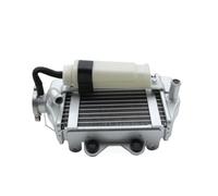 Radiatore motore Per Xmotos Per Apollo SHINERAY Loncin Lifan