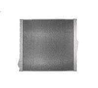 Radiatore motore THERMOTEC D7B040TT per BMW X5 (E70) 3 2006-2008