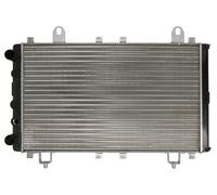 Radiatore motore THERMOTEC D7D011TT per ARO 240-244 2.5 1992-2006