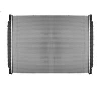 Radiatore, Raffreddamento motore THERMOTEC D7UN001TT per DAF CF 75 9.2 2006-2013