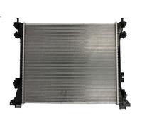 Radiatore motore THERMOTEC D7Y077TT per VW ROUTAN 3.8 2008-2010