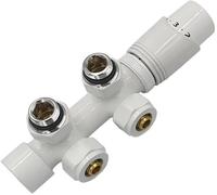 Radiatore multiblocco rosetta blocco rubinetto valvola rubinetto di...