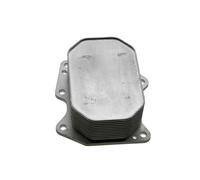 Radiatore Olio Adatto A per Ford Transit 2.2TDCI 2006- OE zu Vergl 096015N,