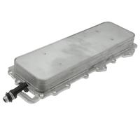 NTY Radiatore olio, Olio motore compatibile con LAND ROVER CCL-LR-008