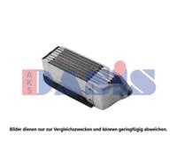 AKS DASIS Radiatore olio, Olio motore per VAG 046013N
