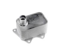 NTY Radiatore olio, Olio motore compatibile con AUDI SEAT SKODA VW VAG