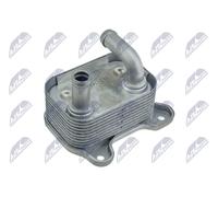 NTY Radiatore olio motore CCL-PL-036 per Opel Astra H/J 1.7D (2007-2015), Corsa D (2006-2014)