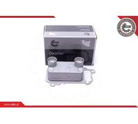 Radiatore olio motore 31SKV225 ESEN SKV