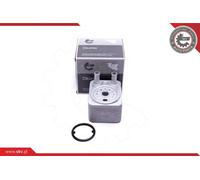 Radiatore olio, Olio motore compatibile con AUDI SEAT SKODA VW 31SKV208