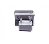 Radiatore olio motore anteriore 31SKV220 ESEN SKV per BMW X5