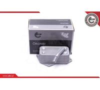 Radiatore olio motore anteriore 31SKV224 ESEN SKV per BMW 5 5 Touring X1 3 7 6 1