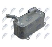 NTY Radiatore olio, Olio motore compatibile con VW VAG CCL-VW-048