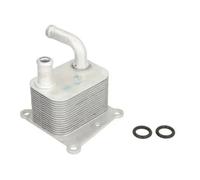 Radiatore olio, olio motore THERMOTEC D4G011TT