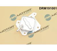 DR.MOTOR AUTOMOTIVE Radiatore olio motore