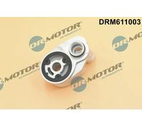 DR.MOTOR AUTOMOTIVE DRM611003 Radiatore olio motore per FIAT DUCATO Kasten (244)