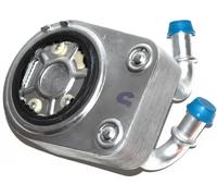 Radiatore olio motore FT55288 FAST per FIAT DOBLO Cassone/Limousine spaziosa