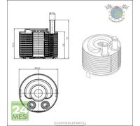 Radiatore olio motore NRF per NISSAN PATHFINDER NAVARA MURANO