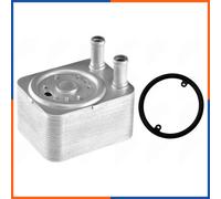 NTY CCL-AU-002 Radiatore olio, Olio motore per ALFA ROMEO,AUDI,FIAT,FORD,LANCIA,