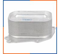 NTY CCL-BM-023 Radiatore olio motore