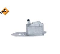 Radiatore olio motore raffreddato ad acqua 31795 NRF per FORD