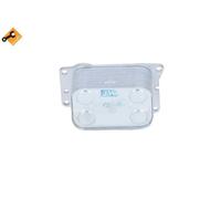 Radiatore olio motore raffreddato ad acqua 31812 NRF per FORD FIAT VOLVO LANCIA