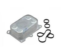 CCL-FT-005 NTY Radiatore olio, Olio motore per ABARTH,ALFA ROMEO,CHRYSLER,FIAT,J
