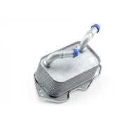 NTY Radiatore olio motore CCL-AU-026 raffreddato ad acqua per Audi, VW