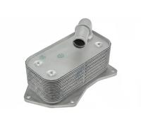 CCL-PL-021 NTY Radiatore olio, Olio motore per OPEL