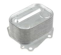 Radiatore olio motore scambiatore BMW 1 F20 118 i 170cv H93E