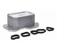 Radiatore olio motore V30-60-0038 VEMO