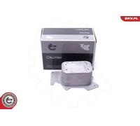 Radiatore olio, Olio motore anteriore per AUDI VW A4 A6 A6 Allroad A8 PHAETON Q7