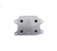 Radiatore olio, olio motore NRF 31329 VW TAIGO (CS1) 1 2021-2024