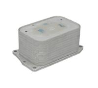 Radiatore olio motore raffreddato ad acqua 31811 NRF per MERCEDES-BENZ CLASSE M