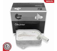 Radiatore olio, Olio motore per AUDI VW A4 A6 PASSAT