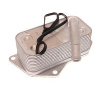 Radiatore olio, Olio motore per BMW 1 2 3 4 5 6 7 X1 X3 X4 X5 X6 Z4