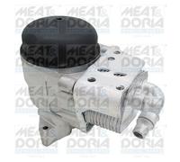 Radiatore olio, Olio motore per BMW 1 3 5 X1 X3 Z4