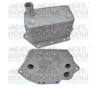 Radiatore olio, Olio motore per BMW 3 5 6 7 X3 X5 X6