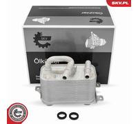 Radiatore olio, Olio motore per BMW X5
