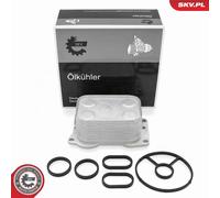 Radiatore olio, Olio motore per CITROËN FIAT FORD LANCIA PEUGEOT VOLVO 3008 307