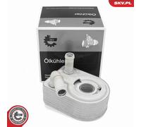 Radiatore olio, Olio motore per FORD B-MAX C-MAX ECOSPORT FIESTA FOCUS GALAXY GR