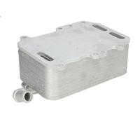 Radiatore olio, olio motore THERMOTEC D4A027TT per AUDI Q7 (4LB) 3 2007-2015