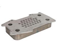 Radiatore olio, Olio motore THERMOTEC D4AG022TT per VOLVO FE 7.146 2006-