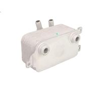 Radiatore olio, Olio motore THERMOTEC D4B003TT per BMW 5 (E60) 2 2006-201